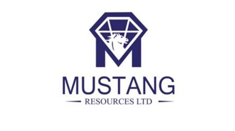 Mustang Resources’ inaugural Ruby auction disappoints bidders