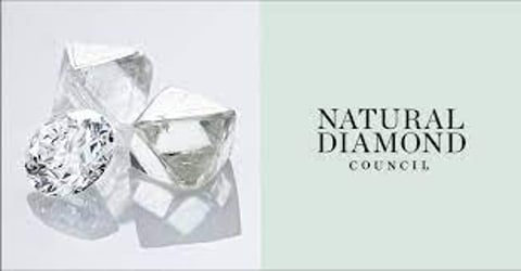 Natural Diamond Council To Launch The First Of Its Bi-Annual ‘Fashion Of Diamonds: Trend Report’ In India At Fdci X Lakmé Fashion Week