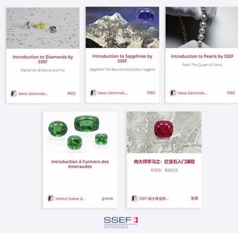 SSEF launches free online courses on major gems in English, French and simplified Chinese